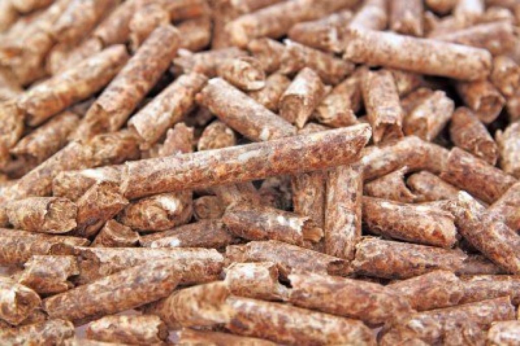 wood pellet