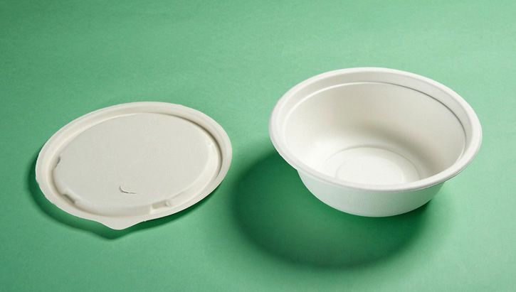 disposable biodegradable paper plate cup bowl