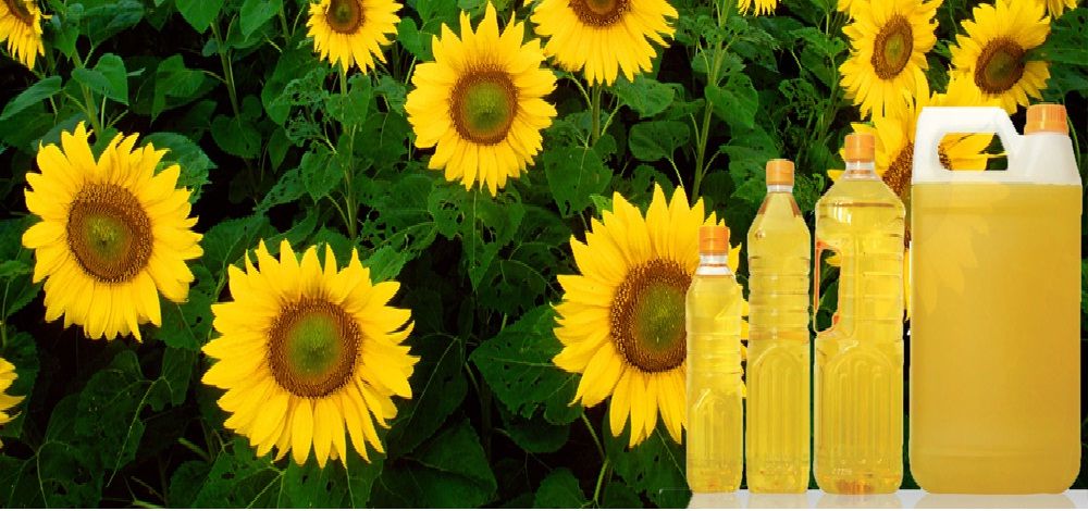 sunflower oil