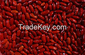 Kidney Beans