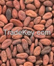 cocoa beans