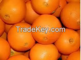 Oranges