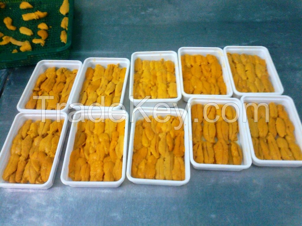 Sea Urchin Roe