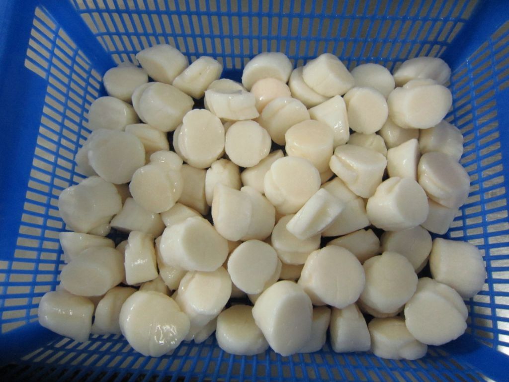 frozen scallop meat without shell
