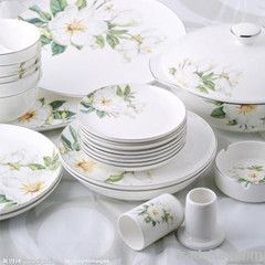 Fine porcelain Dinner set