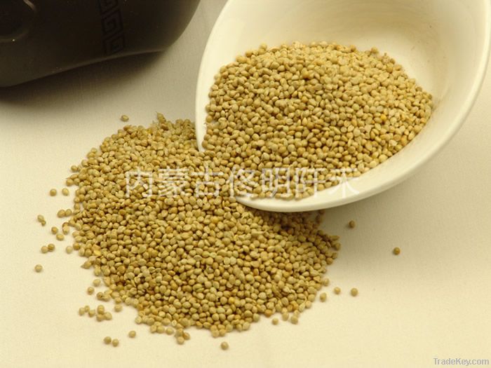 green millet