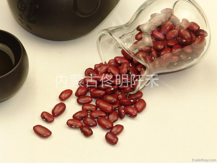 red kidney beans