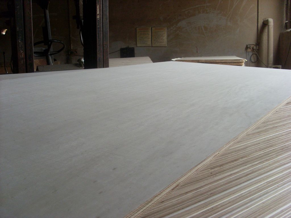 Commercial plywood &amp;amp; Poplar plywood