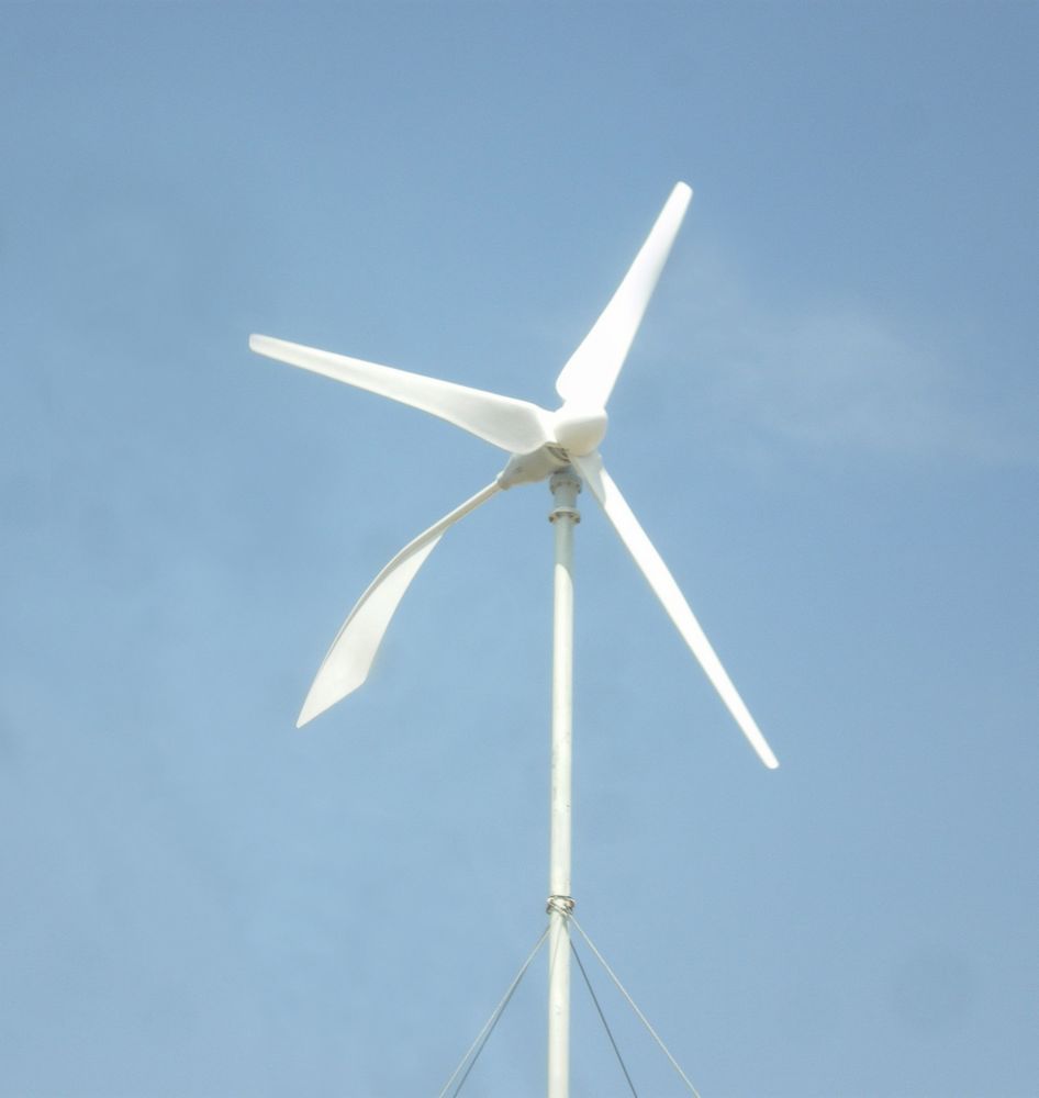 MAX 2KW Horizontal Wind Turbine