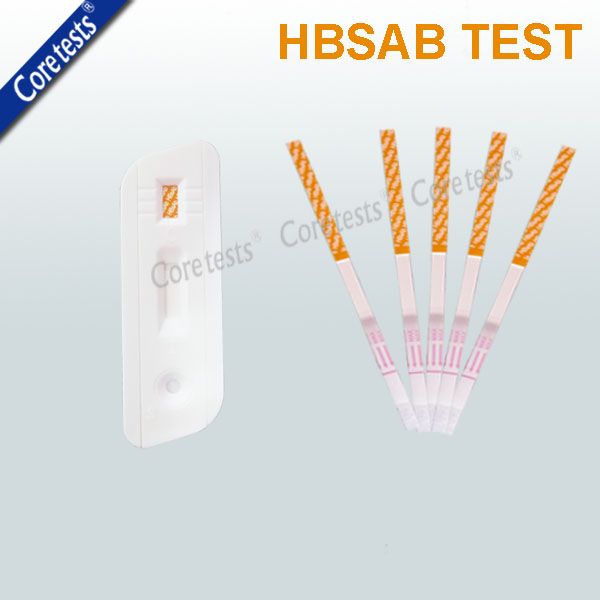 HBsAb Hepatitis B Surface Antibody Test