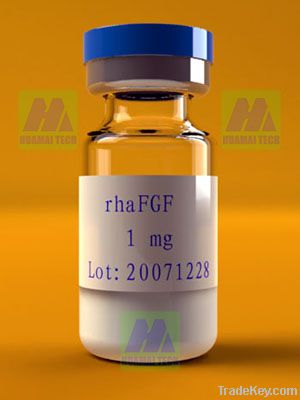 Recombinant Human acidic Fibroblast Growth Factor(aFGF)
