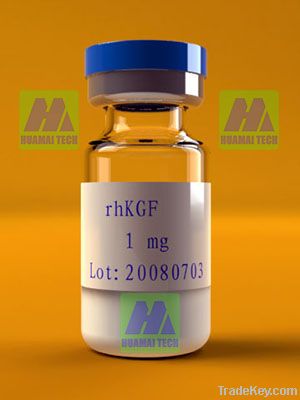 Recombinant Human Keratinocyte Growth Factor (rhKGF)
