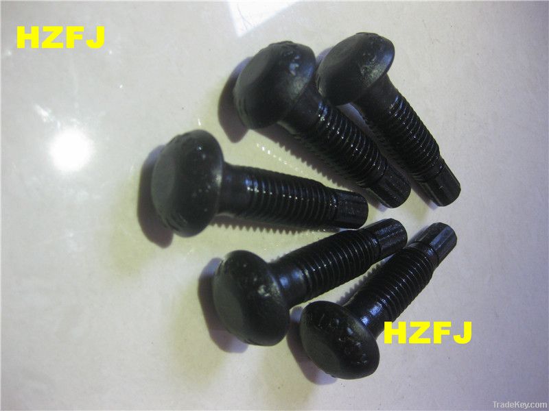 Torsion & shear type high strength bolt