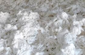 Raw Cotton Importers,raw Cotton Buyers,raw Cotton Importer,buy Raw Cotton,raw Cotton Buyer,import Raw Cotton