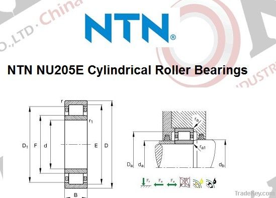 NTN NU205E Cylindrical Roller Bearings