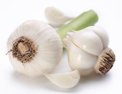 garlic