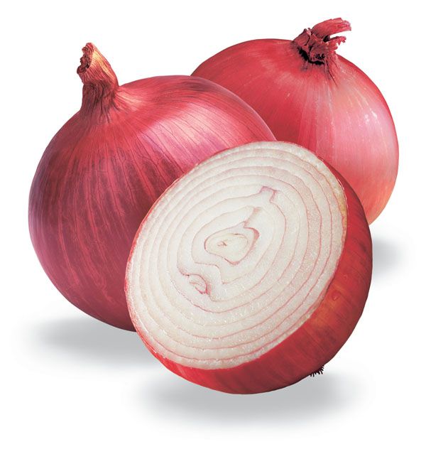 onion