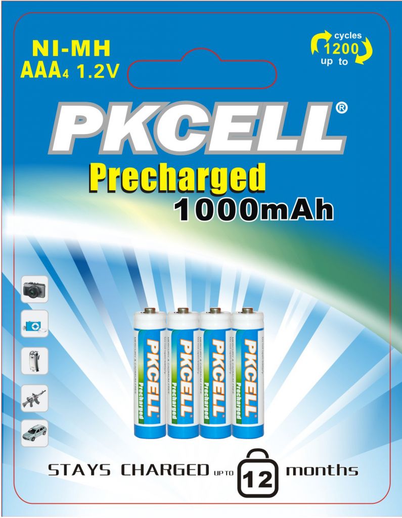 Hot sale battery chargers from Shenzhen Factory PKCELL