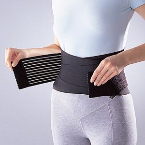 Back support with stays