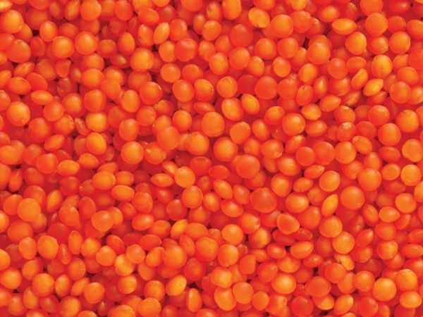 TURKISH RED FOOTBALL LENTILS