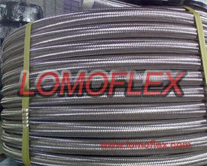 Teflon Hose (S.S.Wire Braided Corrugated)