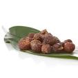 Original Indian Bio Soap Nuts