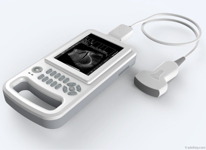 Handheld Full Digital Ultrasound Scanner
