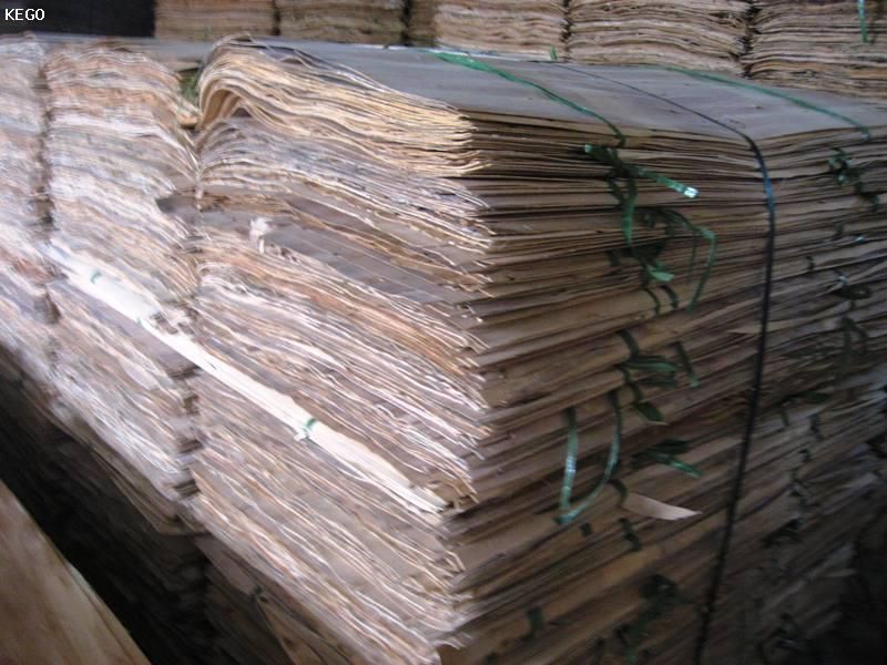 Acaica core veneer for plywood (1270x500x1.5mm