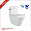 Henan Ceramic Washdown WC One-Piece Toillet ZZ-2208