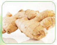 Ginger Oil