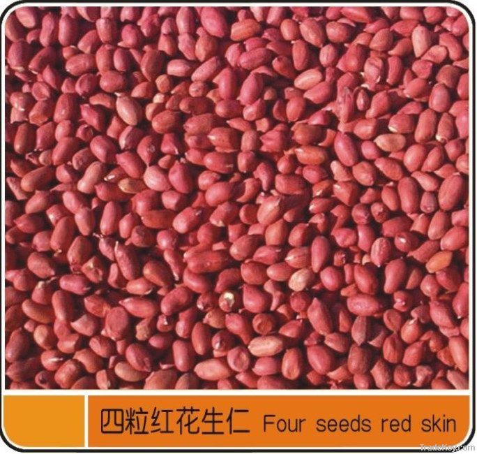 Red Skin Peanuts