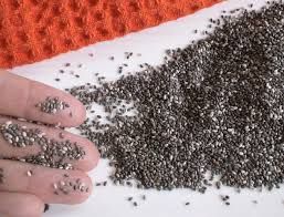 sunflower seed and chia seed
