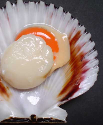 scallops sale