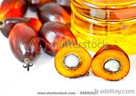 Palm oil