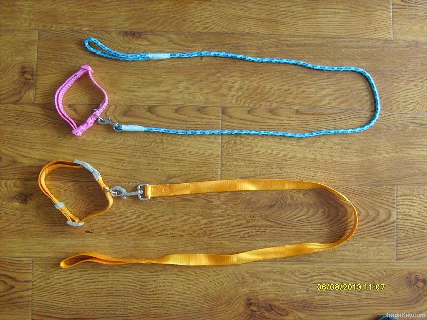 leash and leash webbing