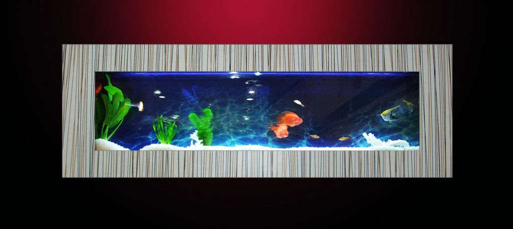 New Arrival Wall Hanging Aquariums