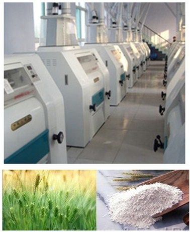 wheat flour milling machine, corn mill,  grain processing machine, grain cleaning machine