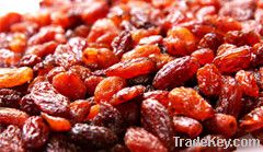 xinjiang red raisin