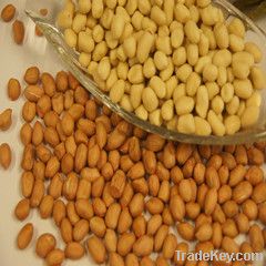 china groundnut peanut kernel and shell yummy