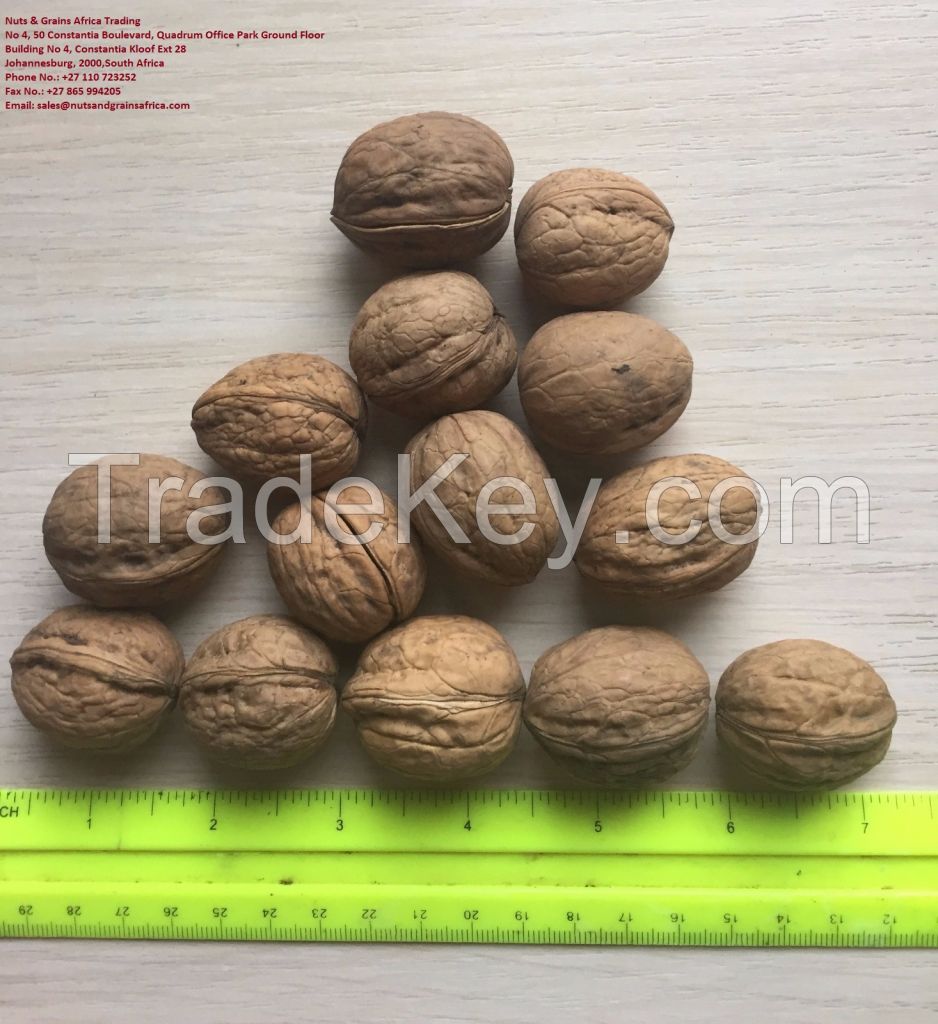 pecan nuts