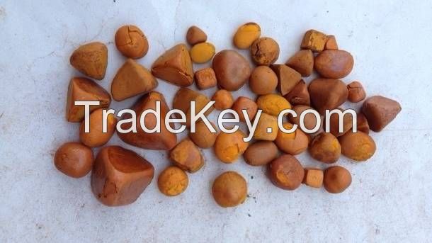 Ox Gallstones