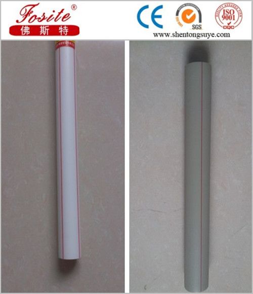 PPR Pipe/PPR Tube for Cold Water and Hot Water Supply