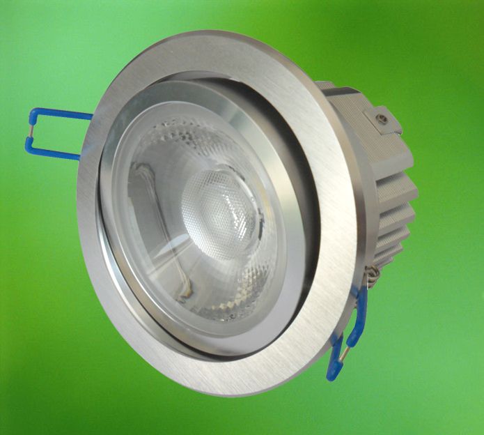 Downligh Dimmable light