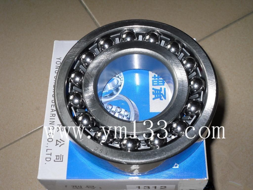 High Quality Deep Groove ball bearing /6009 bearing