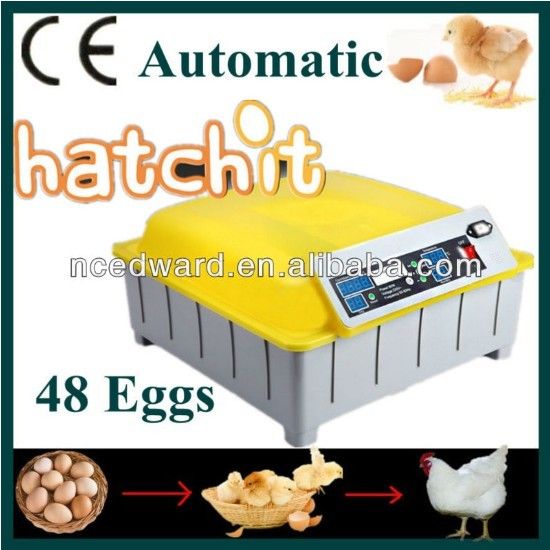 Full Automatic Egg-Turning Mini Egg Incubator for Sale EW-48 (48 Eggs)