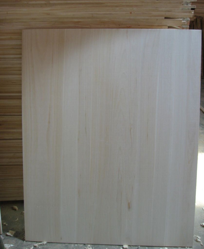 paulopwnia elge  glued board