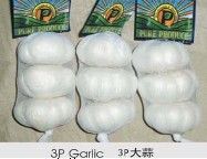 pure white garlic