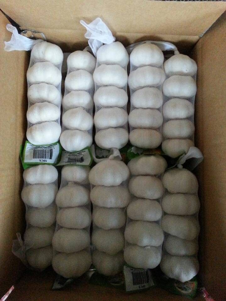 pure white garlic in stock