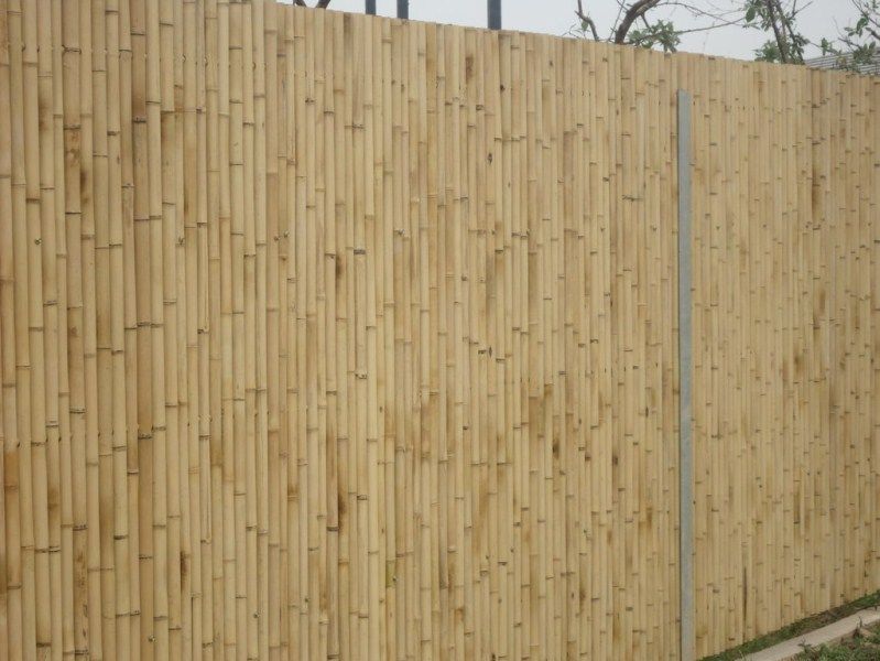 bamboo fences high quality, cheap bamboo fencing, nice bamboo fences, bamboo fencing best price, natural bamboo fences