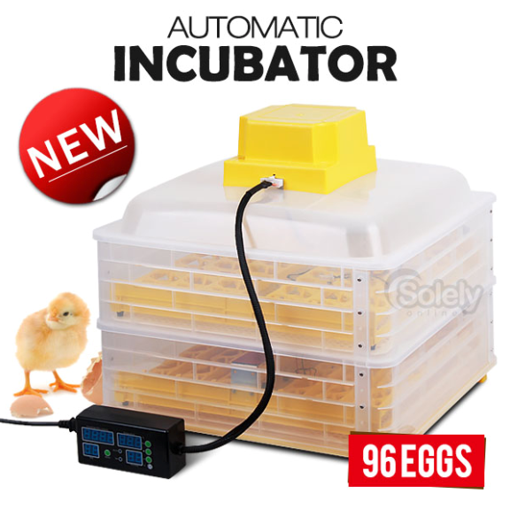 New Design Automatic Egg-turning Digital Egg Incubator for Big Promotion